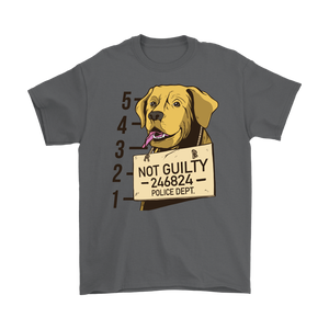 Funny Dog T-shirt, Funny Gift for Dog Lover, Not Guilty Dog Shirt, Dog T-shirt