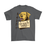 Funny Dog T-shirt, Funny Gift for Dog Lover, Not Guilty Dog Shirt, Dog T-shirt