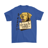 Funny Dog T-shirt, Funny Gift for Dog Lover, Not Guilty Dog Shirt, Dog T-shirt