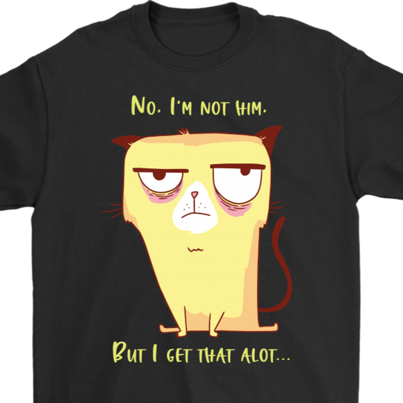 Funny Cat T-shirt, Grumpy Cat Gift, Funny Cat Shirt, Funny Cat Gift, Gift for Cat Lover