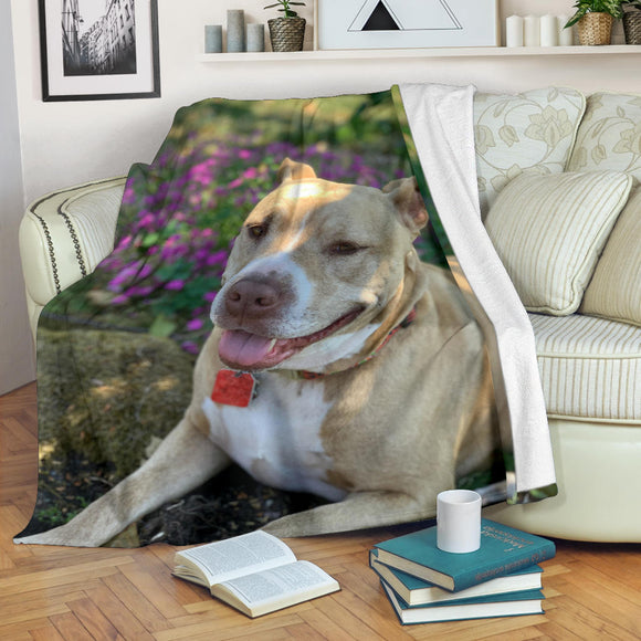 Pitbull Blanket, Gift for Pitbull Lover,