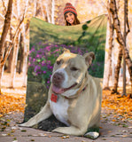 Pitbull Blanket, Gift for Pitbull Lover,