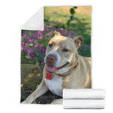 Pitbull Blanket, Gift for Pitbull Lover,