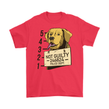 Funny Dog T-shirt, Funny Gift for Dog Lover, Not Guilty Dog Shirt, Dog T-shirt